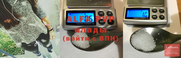 ГАЛЛЮЦИНОГЕННЫЕ ГРИБЫ Иннополис