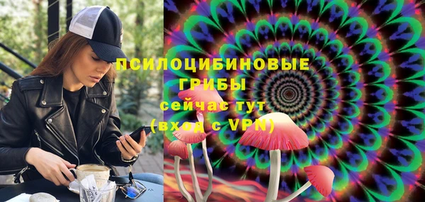 первитин Инта