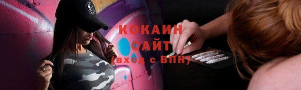 ГАЛЛЮЦИНОГЕННЫЕ ГРИБЫ Иннополис