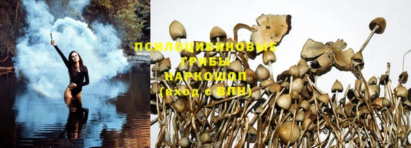 ГАЛЛЮЦИНОГЕННЫЕ ГРИБЫ Иннополис