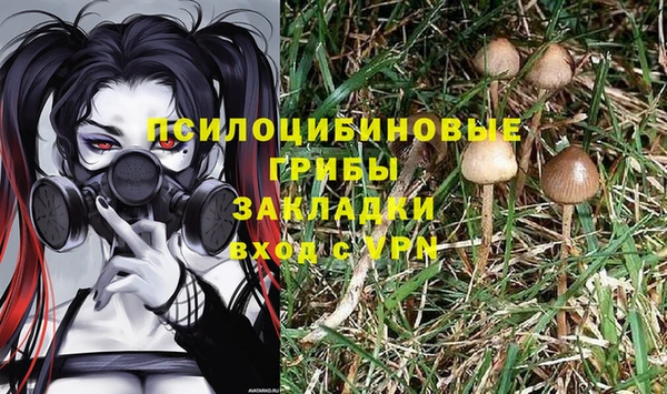 кокаин премиум Инсар