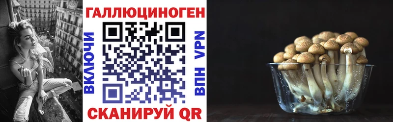 Псилоцибиновые грибы Psilocybine cubensis  Купить  Правдинск 